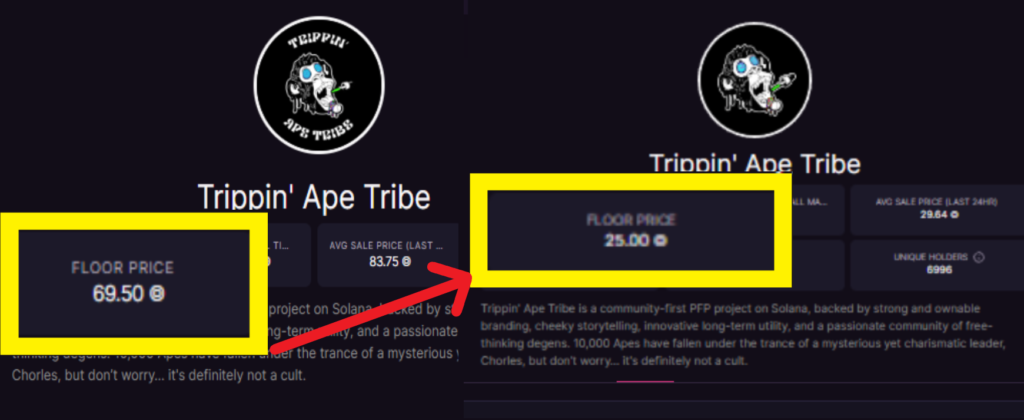 Trippin' Ape Tribe NFT